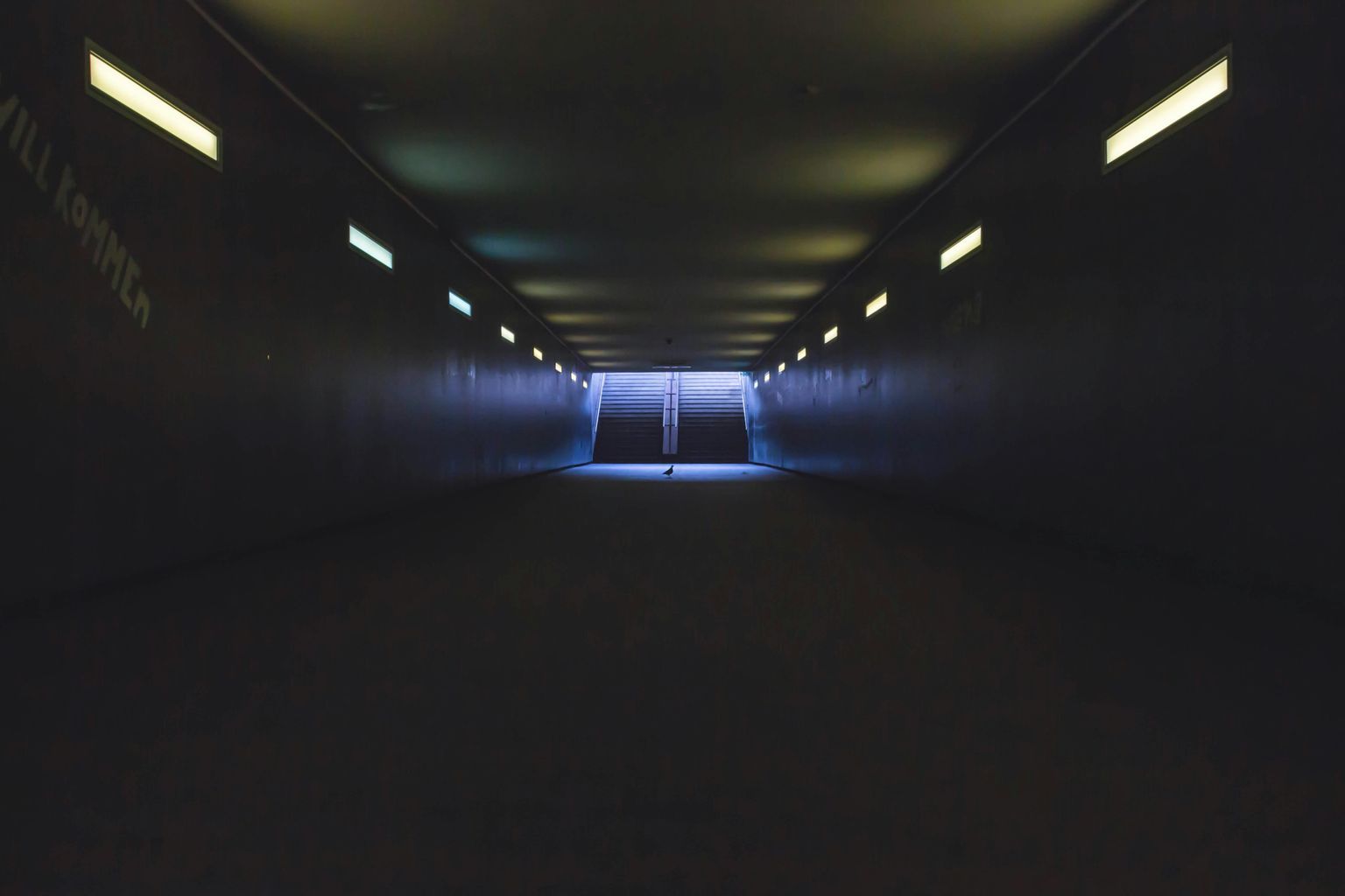 Empty Tunnel