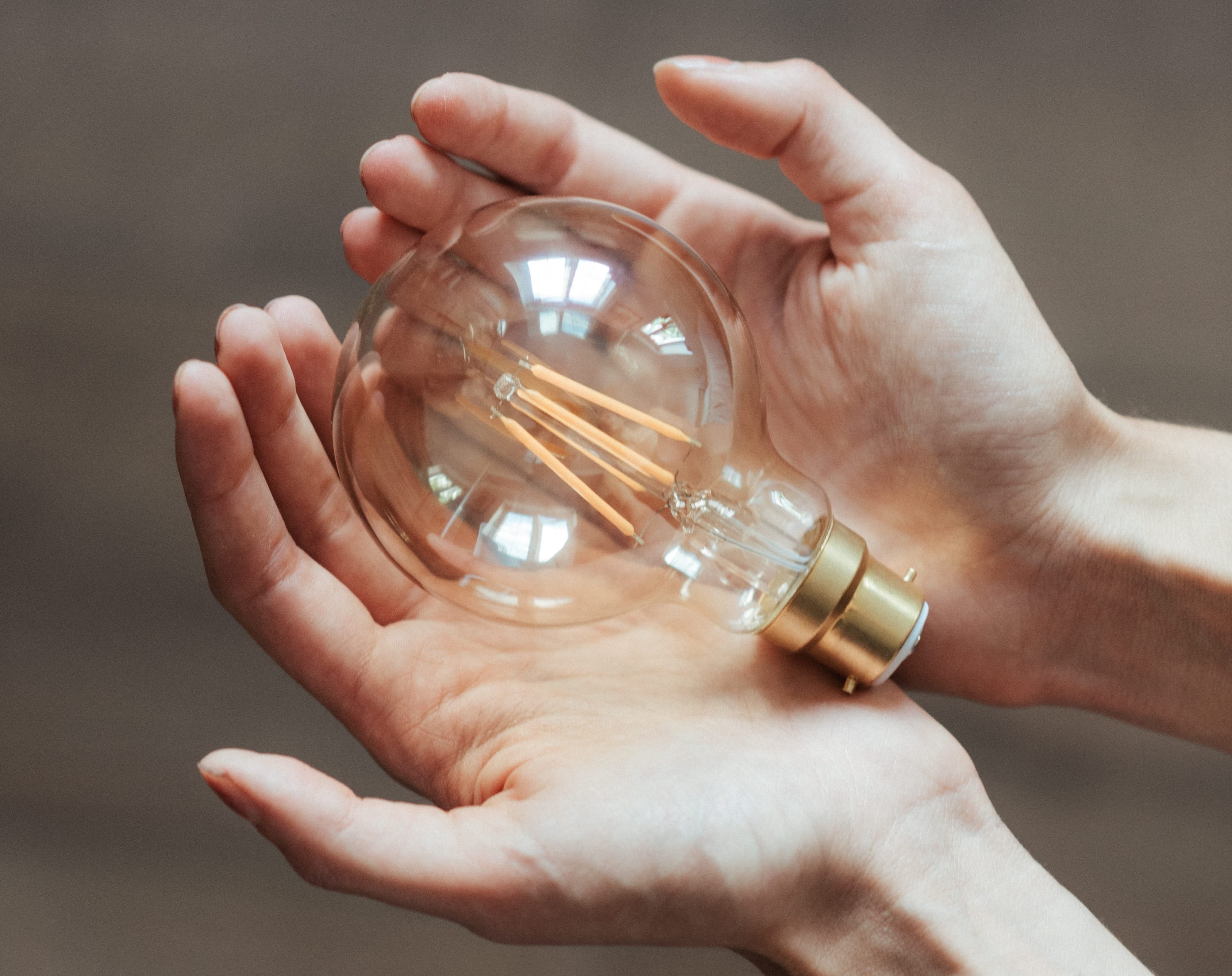 Hands holding lightbulb